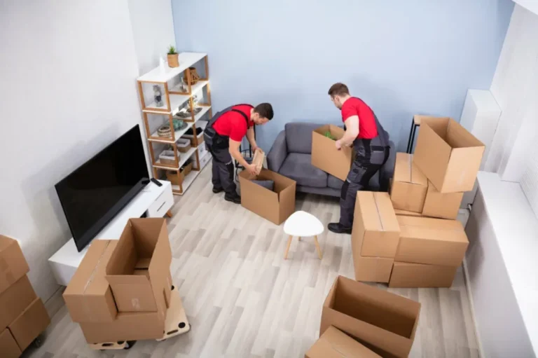 5 Essential Tips for a Stress-Free Move on the Central Coast Your Guiding Light