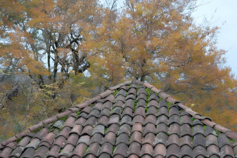 Booking A Roof In November Without Losing The Winter